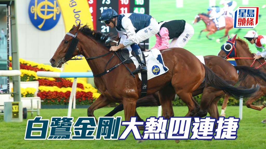 「白鷺金剛」大熱四連捷