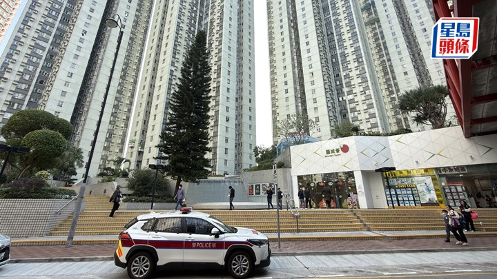 麗城花園七旬翁飛墮平台身亡。梁國峰攝