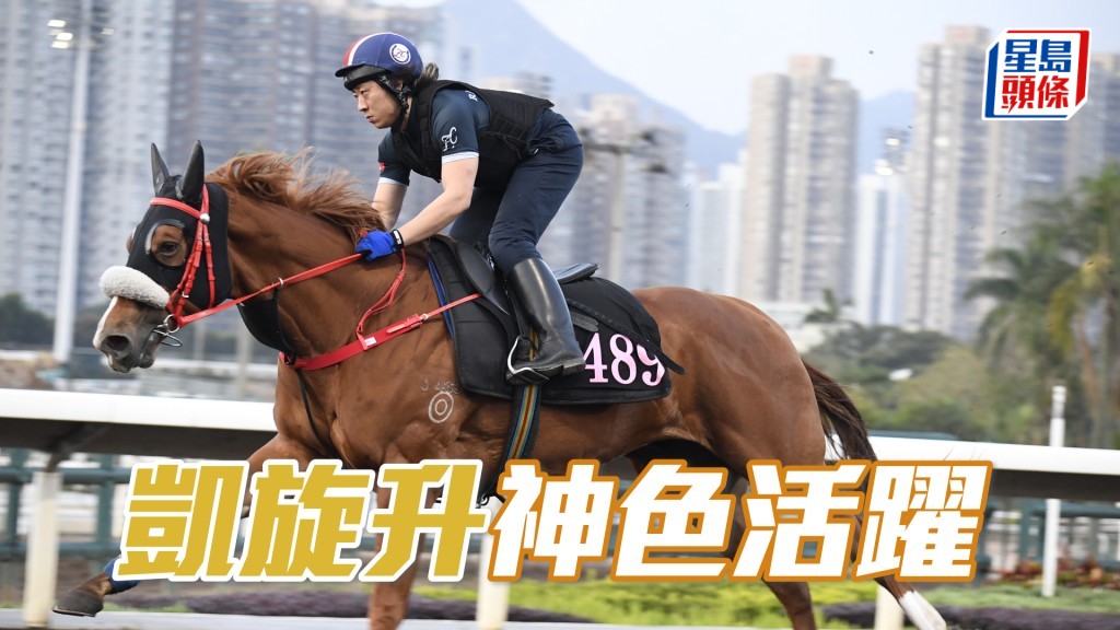 「凱旋升」火力不俗，仍具好感。