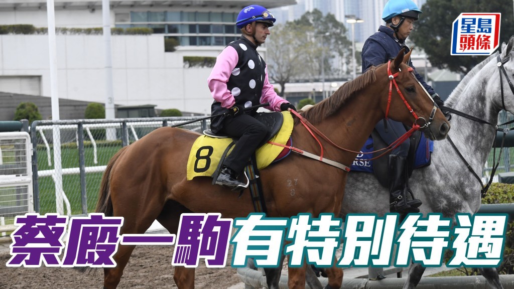 蔡約翰今朝繼續現身，早至四點五十分已出現，當「永遠美麗」(圖) 出跳後，他全程跟到實。
