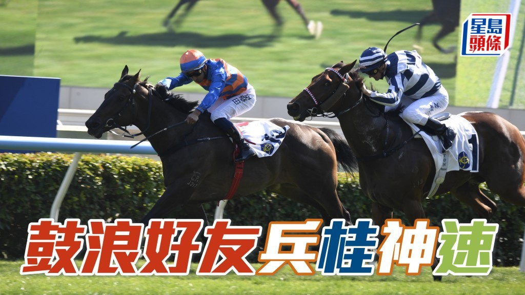  桂福特在晨課上表示，「鼓浪好友」(圖) 和「超風速」最近表現進步，今次出戰合適路程，自然希望繼續交出好成績。