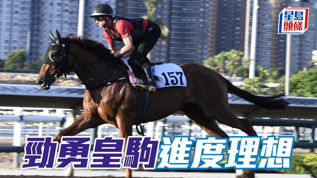 「 勁勇皇駒」進度理想
