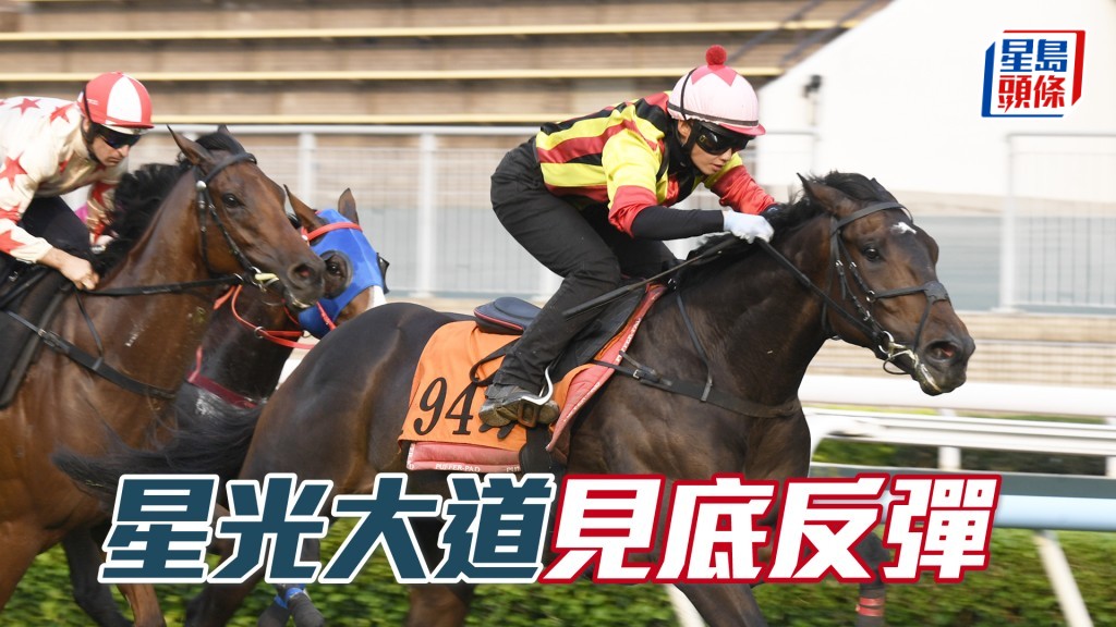「星光大道」上季初出即入位已露鋒芒，今季已作熱身賽，可望構成更大威脅。