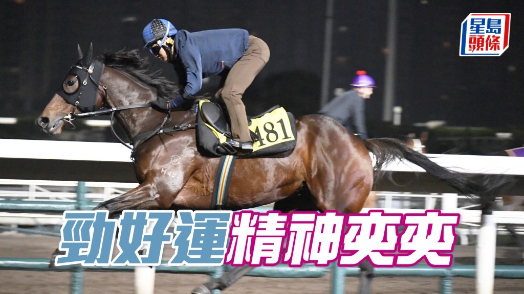  「勁好運」出腳整齊爽勁，論態仍出色。