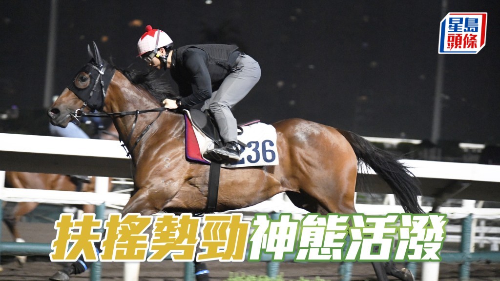 「扶搖勢勁」身仍壯步輕爽，打仔惡馬長期見好。