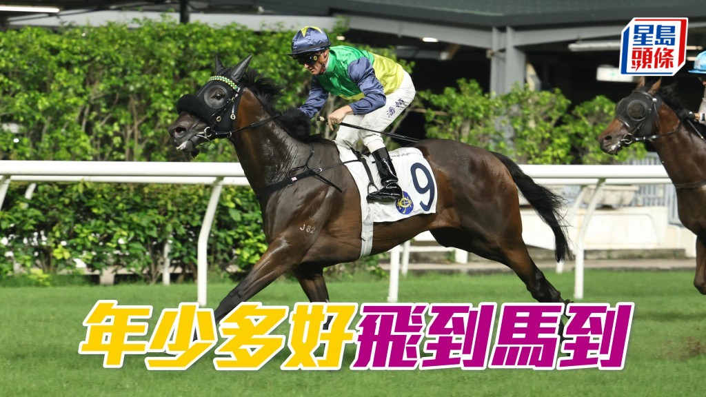 「年少多好」飛到馬到