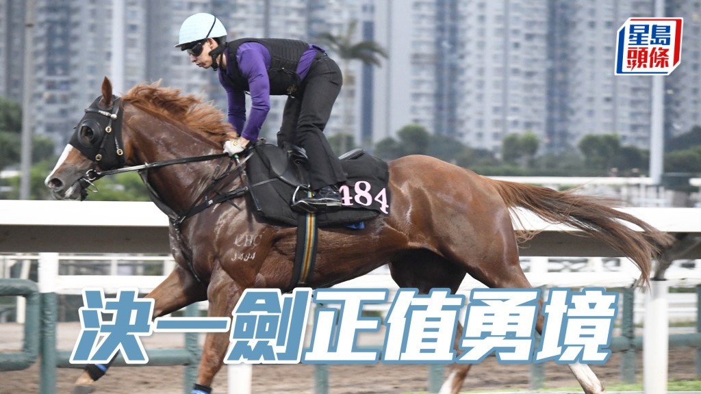 「決一劍」步順輕快有彈力，身色皆靚外觀省鏡。