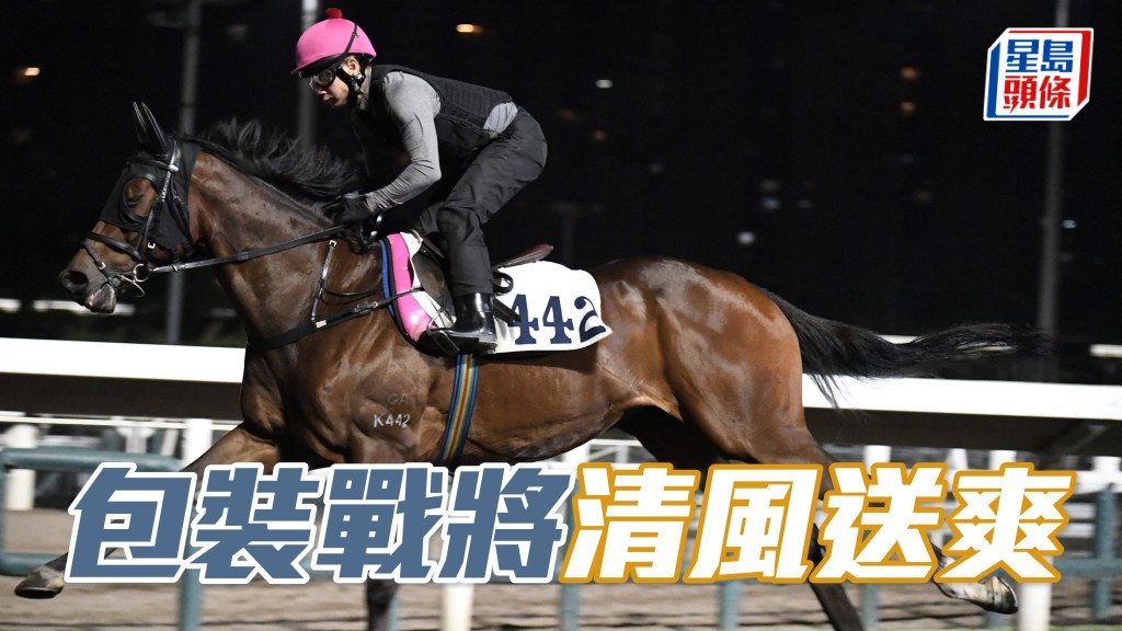 「包裝戰將」近來出跳清風送爽，步爽力足身壯實淨，休夠操足更醒。(資料圖片)