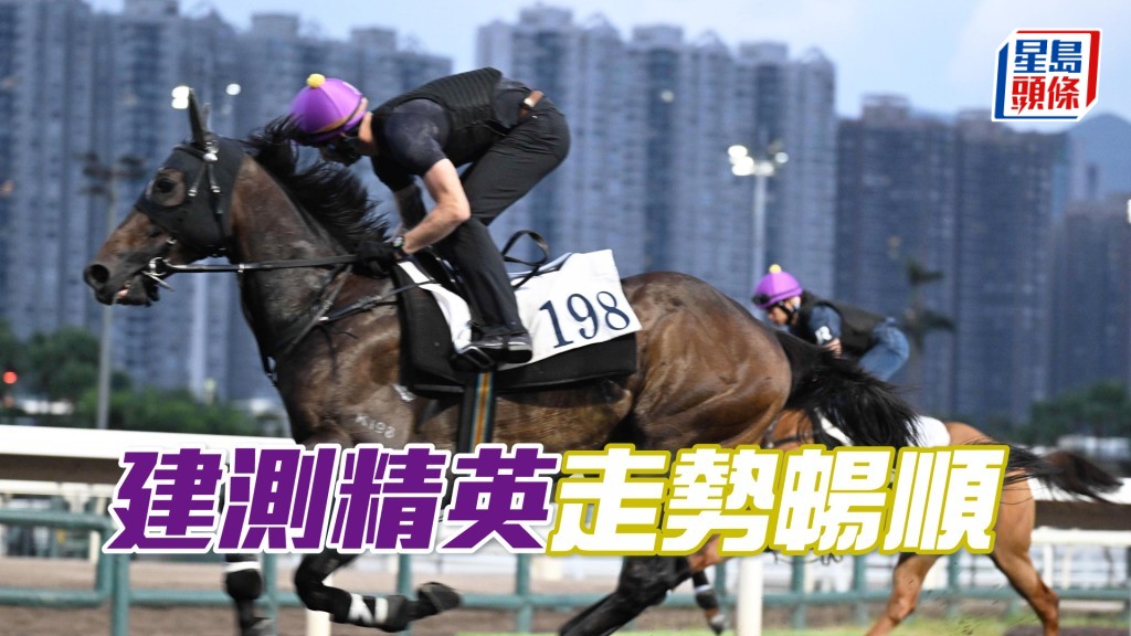 「建测精英」身壮步挺力度不俗，论态上佳水准。