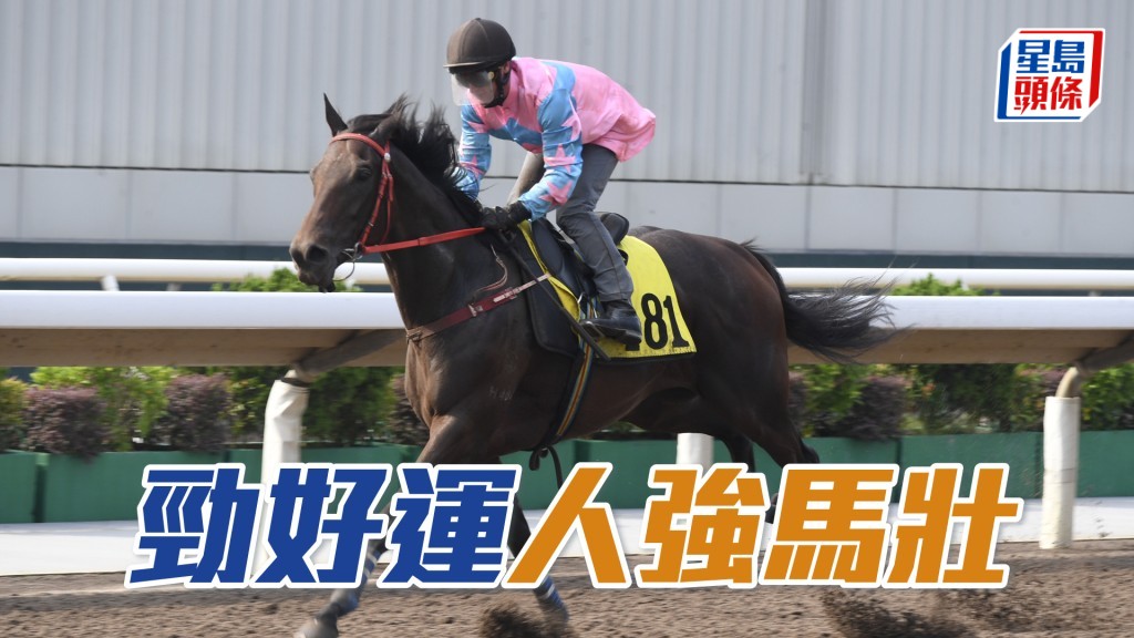 ■「勁好運」今次再接再厲戰力比前有增無減，繼續配潘頓人強馬壯。