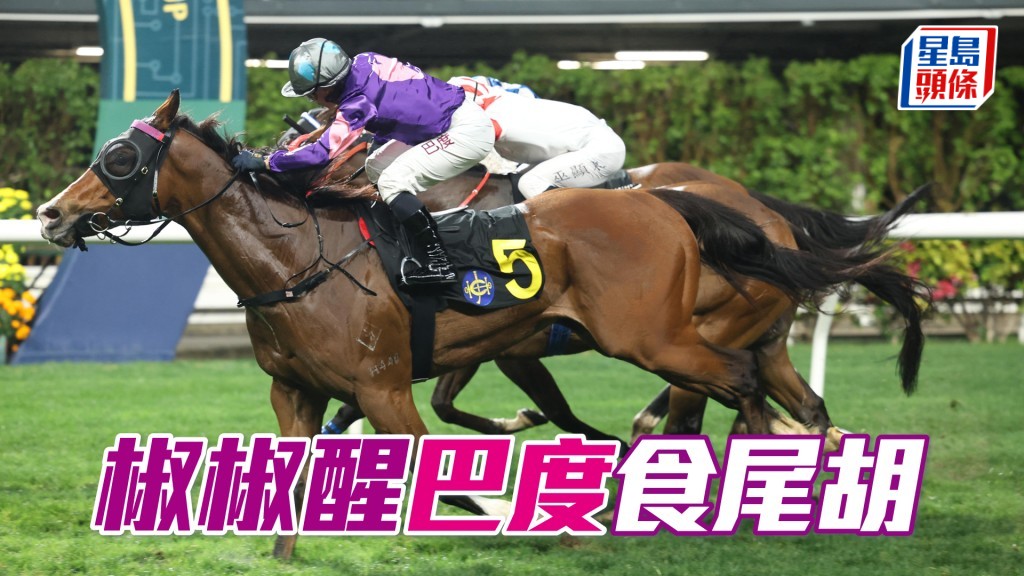 「椒椒醒」巴度食尾胡