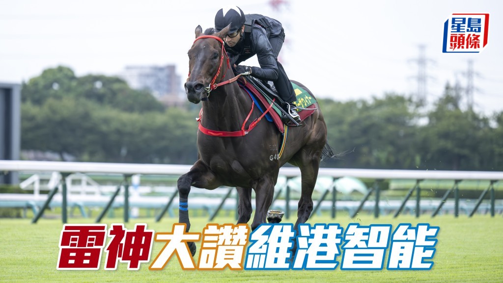 雷神大讚「維港智能」