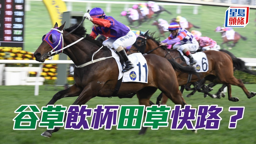 黃志祥的兒子黃永光名下的「快路」將在周日第九場上陣，有力為黃氏家族再建功。