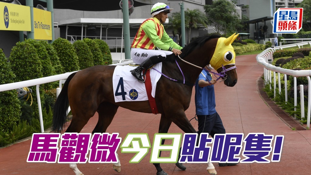 「綫路萬里」頓悟首捷