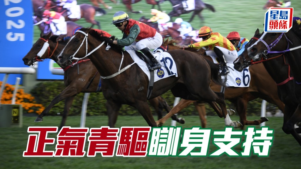 「正氣青驅」逢出必拼，今季獎金逾二百萬，忠心馬值得支持。