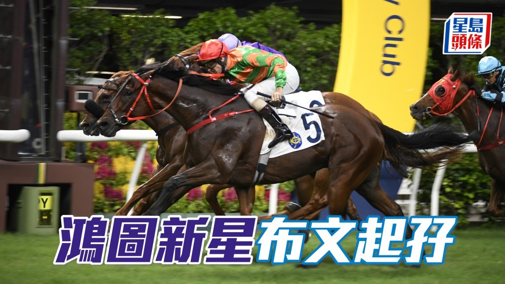 「鴻圖新星」布文起孖