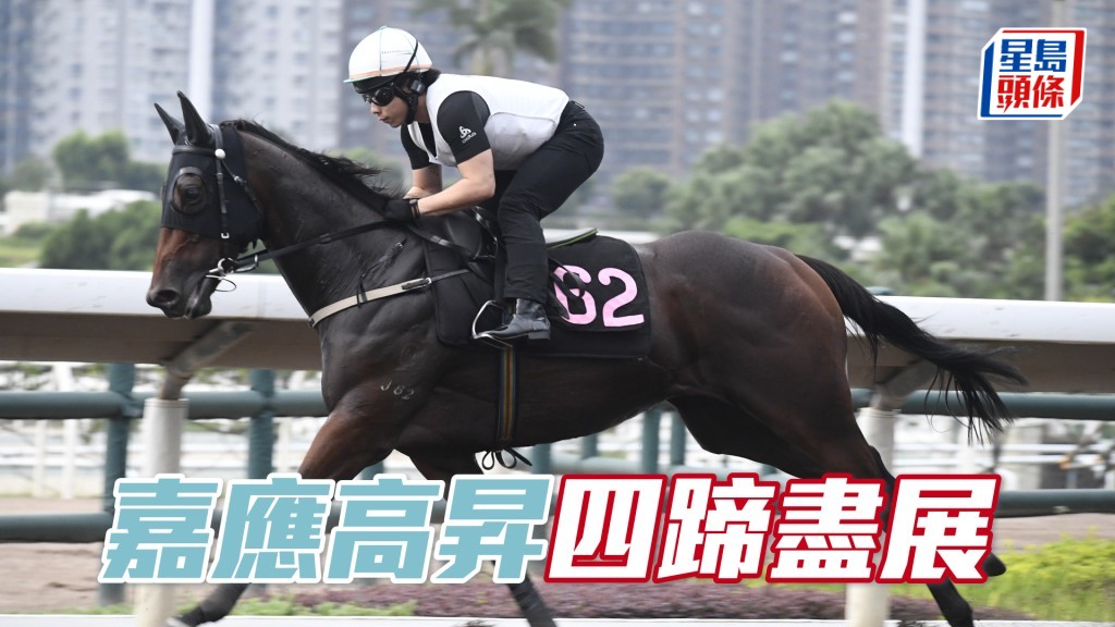 「嘉應高昇」馬身壯且已呈現線條美，狀態起得不俗。