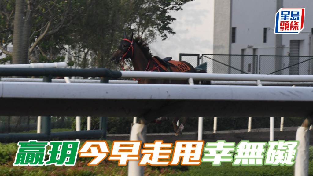 「赢玥」今早走甩 空马走一圈