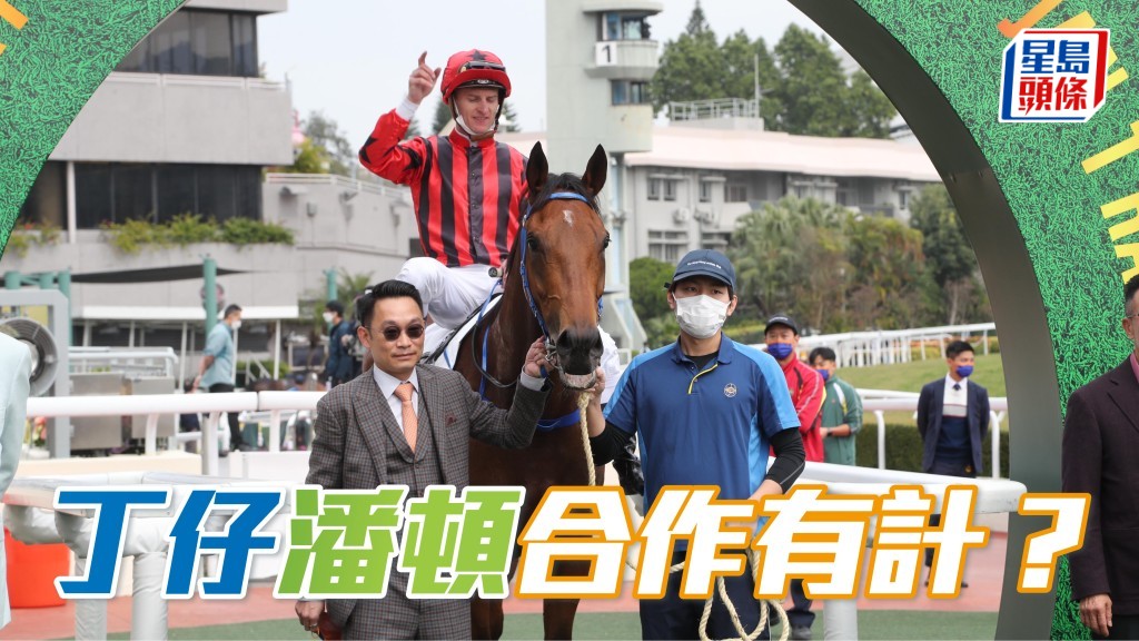 潘頓與丁冠豪上季至今騎練合作總成績為十一戰四冠一亞兩季，勝出率36.4%，上名率63.6%，成績不俗。