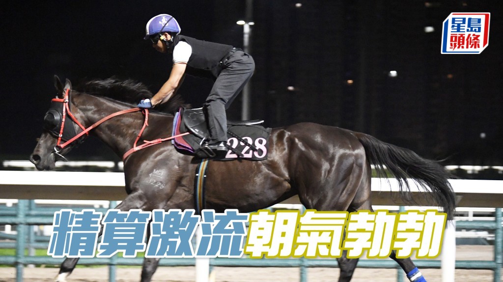 「精算激流」步順爽勁神態暢旺，正值勇境。