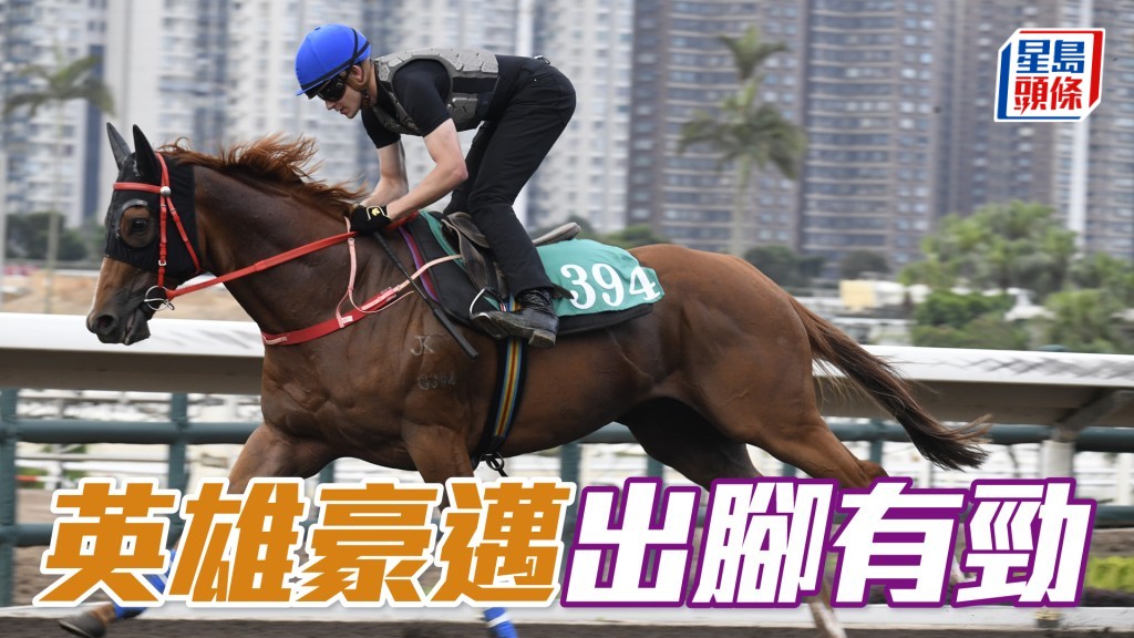 「英雄豪邁」今晨出試時出腳輕快有勁，神態對辦，狀態在上佳水準。