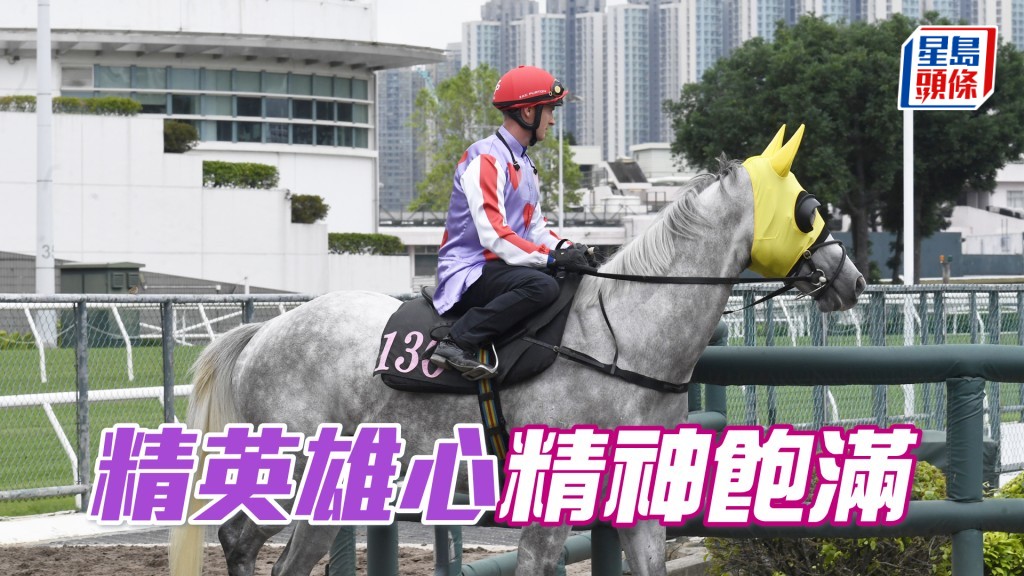 「精英雄心」出腳順滑俐落，予人甚佳觀感。