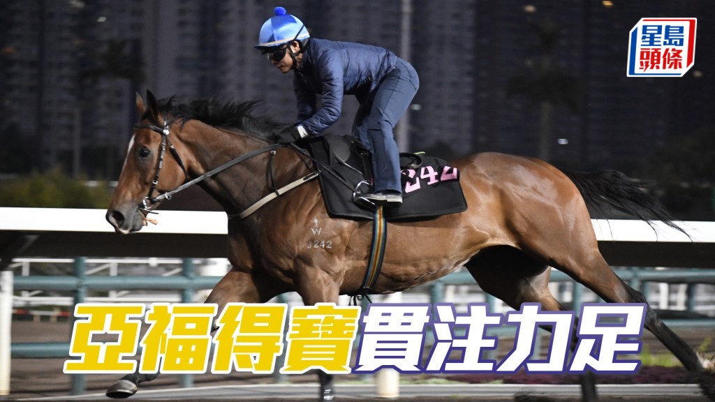 「亞福得寶」貫注力足
