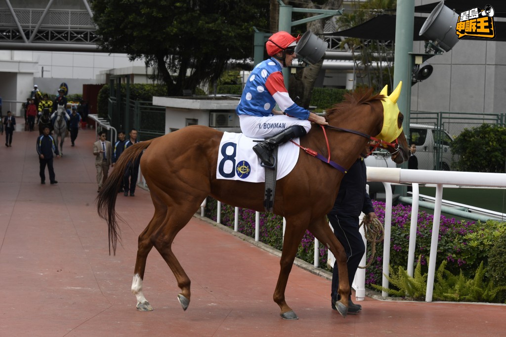 巴度當晚還卜定「博愛先鋒」(圖)、「你知我得」及「趣盈」等駒。