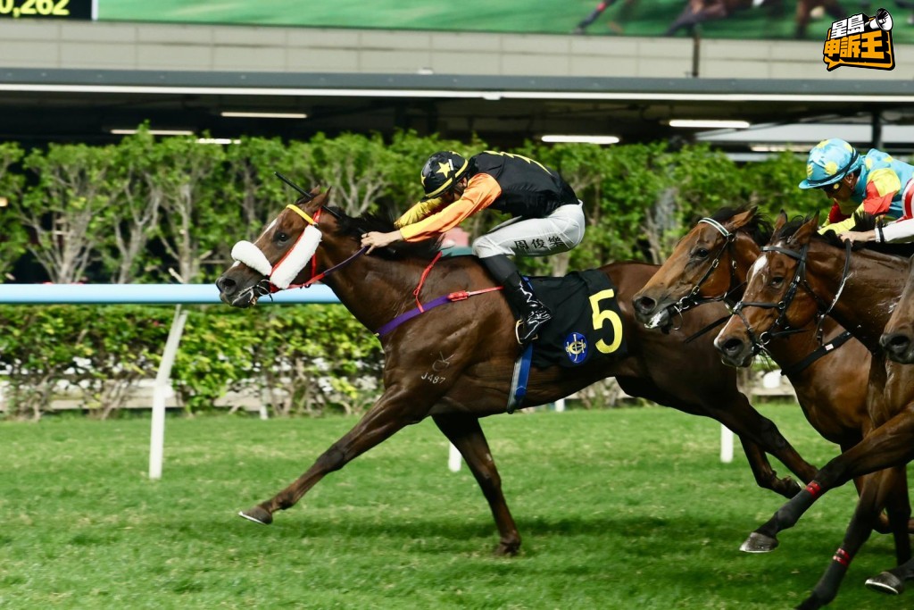 「喵喵怪」(圖)連搏兩次第二名後，周三晚將初次配巴度，相信幕後都希望給予馬兒新鮮感，人馬擦出新火花，尋求突破，力爭在港第三場頭馬。