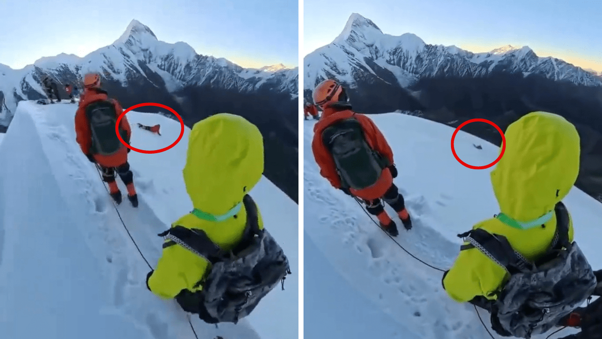 四川客違規攀登未開放雪山 峰頂瞬間滑墜落崖亡|有片 四川客違規攀登未開放雪山 峰頂瞬間滑墜落崖亡|有片