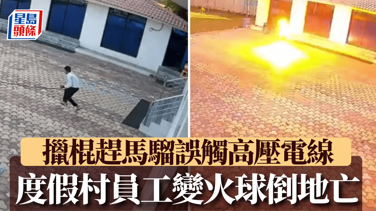 死神來了︱度假村員工擸鐵棍趕馬騮  觸碰高壓電線變火球喪命