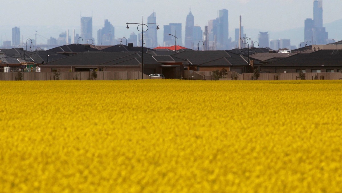 澳洲油菜籽恢復進口 首批貨物完成查驗