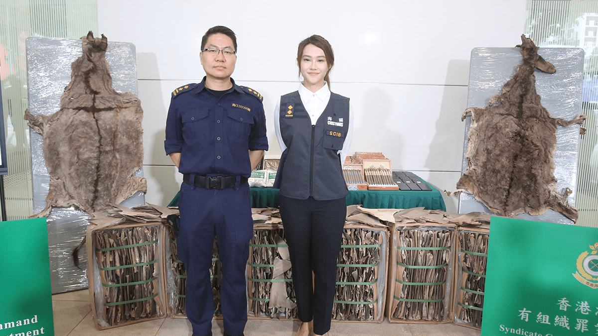 海關檢逾億走私貨 包括驢皮魚翅雪茄 原擬運往澳門台灣 海關檢逾億走私貨 包括驢皮魚翅雪茄 原擬運往澳門台灣