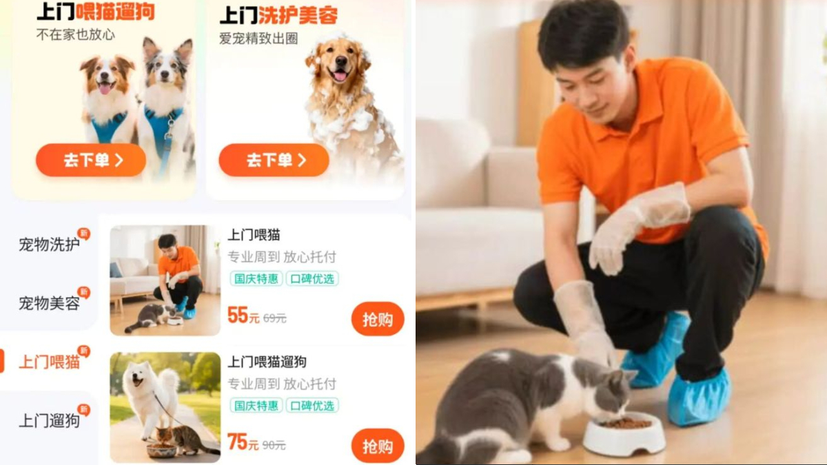 滴滴「撈過界」︱新推寵物餵食散步服務 最平幾十人仔有交易 滴滴「撈過界」︱新推寵物餵食散步服務 最平幾十人仔有交易