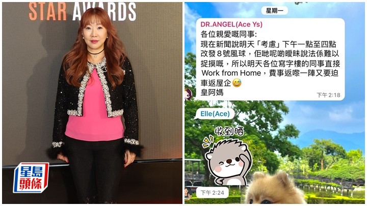 唐安麒被封「絕世好老闆」 預早安排「樺加沙」襲港前休業2天 貼心行為獲網民大讚 唐安麒被封「絕世好老闆」 預早安排「樺加沙」襲港前休業2天 貼心行為獲網民大讚