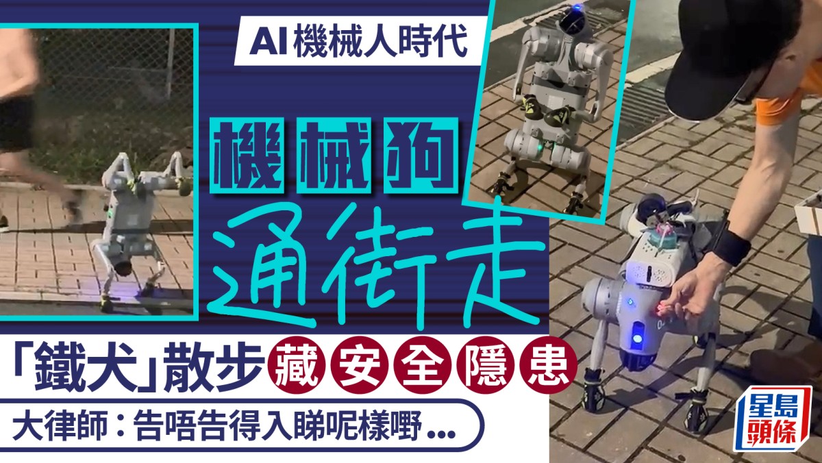 AI機械人時代︱機械狗通街走 「鐵犬」散步藏安全隱患 大律師拆解檢控難度︱新聞追擊