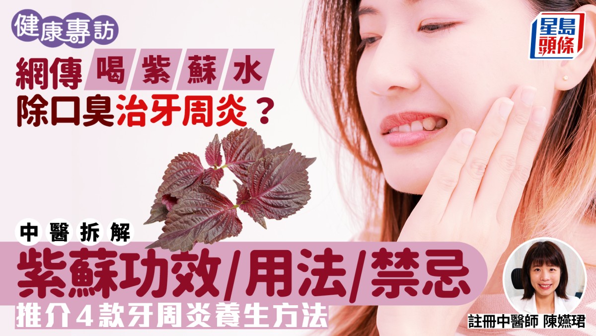 紫蘇與口腔健康:用法及注意事項