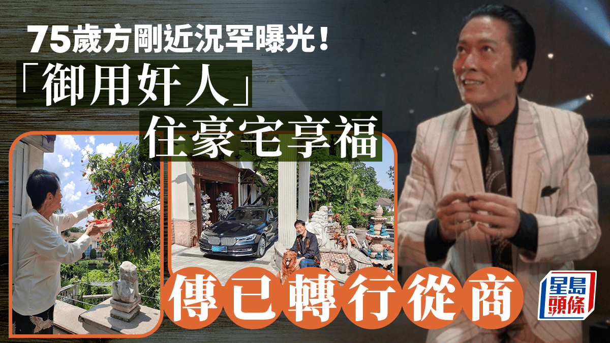 75歲「御用奸人」方剛豪宅大翻新巨型平台如舊式露天茶座仲種埋荔枝樹