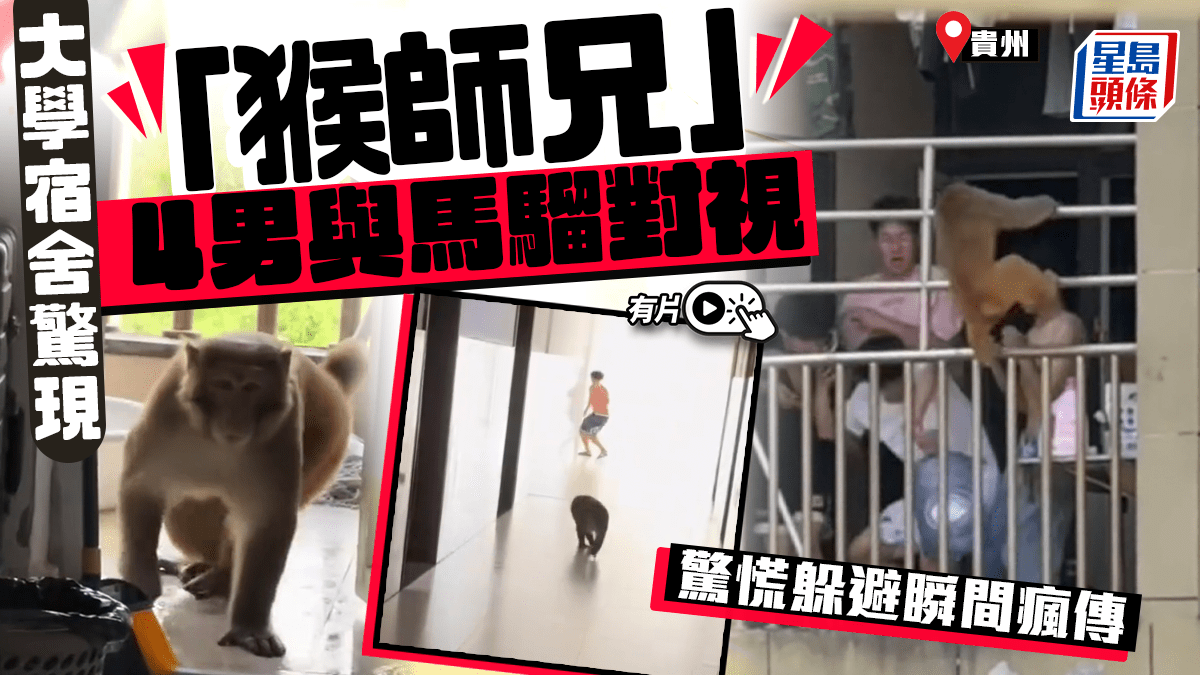 齊天大聖闖貴州大學宿舍 4男嚇到「面青」場面瞬間瘋傳︱有片 齊天大聖闖貴州大學宿舍 4男嚇到「面青」場面瞬間瘋傳︱有片