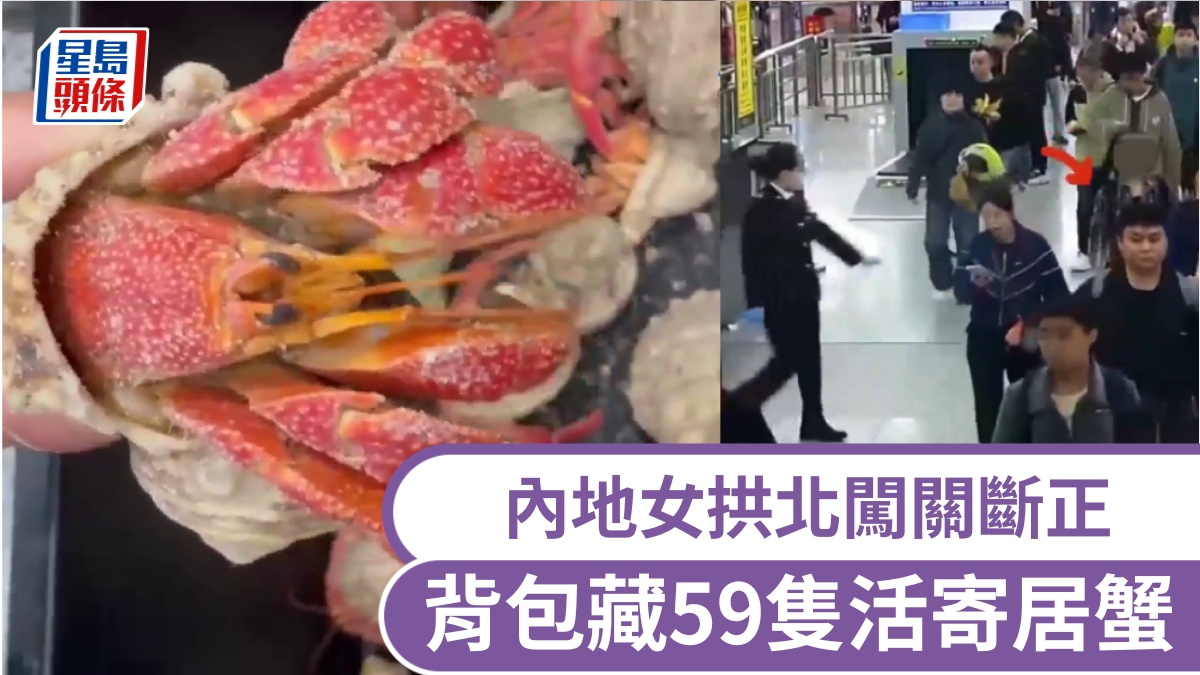 拱北口岸｜背包藏59隻活蟹 內地女珠海闖關被截｜有片