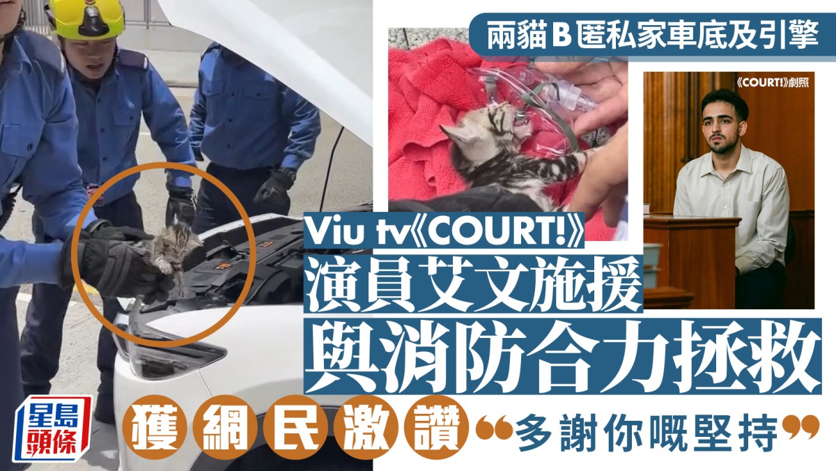 啟德兩貓B匿私家車底及引擎 Viutv《COURT!》演員艾文與消防合力拯救 獲網民激讚