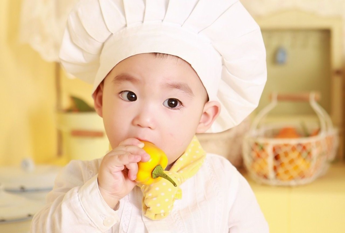 BB飲食加固期｜循序漸進四階段