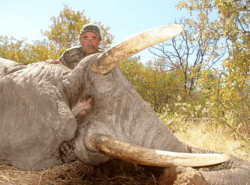 獵人反成獵物 | 美富豪非洲狩獵小羚羊 遭5頭母象突襲踩死