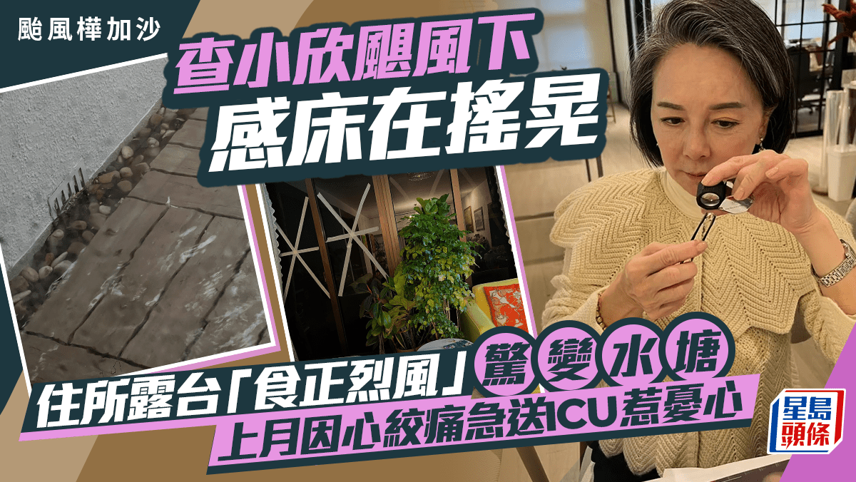 颱風樺加沙|查小欣𩗗風下感床在搖晃 住所露台「食正烈風」驚變水塘 上月因心絞痛急送ICU惹憂心 颱風樺加沙|查小欣𩗗風下感床在搖晃 住所露台「食正烈風」驚變水塘 上月因心絞痛急送ICU惹憂心
