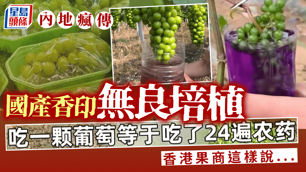 Controversy Surrounding Pesticide Use in Domestic “Sunshine Rose” Grapes