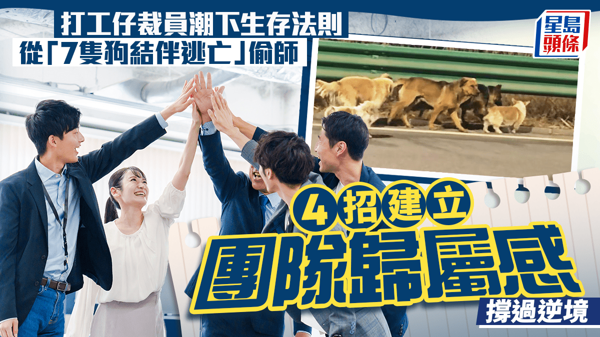 打工仔裁員潮下生存法則 從「7隻狗結伴逃亡」偷師 4招建立團隊歸屬感撐過逆境｜吳慧琪