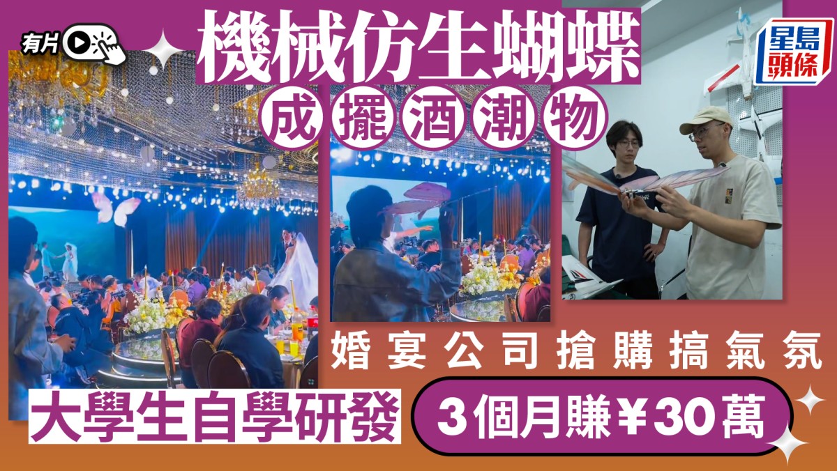 擺酒潮物︱婚宴公司搶購仿生蝴蝶製造浪漫  武漢大學生三個月賺¥30萬︱有片