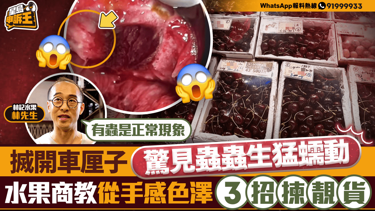 星島申訴王 | 搣開車厘子果肉驚見生猛蟲蟲蠕動　果商教3招揀靚貨秘訣