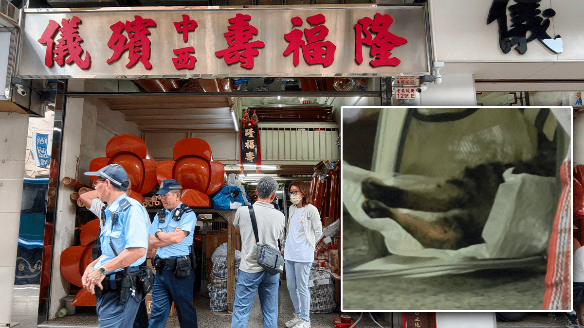 紅磡長生店貓店長尾巴離奇折斷 舌頭發紫疑中毒 主人報警求助