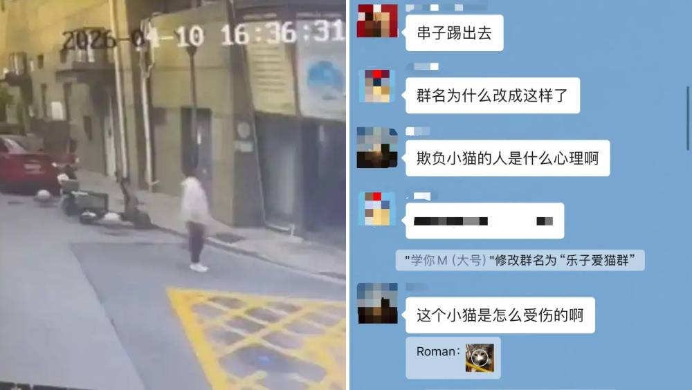 上海女子舉報虐貓群聊  遭起底造黃謠報復